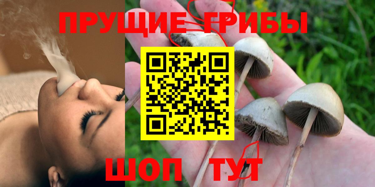 Псилоцибиновые грибы ЛСД  Псилоцибиновые грибы Magic Shrooms  Вход с VPN  Арзамас 